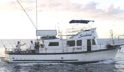 Oahu Deep  Fishing on Half Day Trolling And Jigging   Hawaii Activities Discount