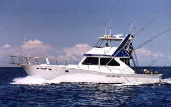 Cheap Deep  Fishing on Magic Sportfishing Deep Sea Fishing   Hawaii Activities Discount