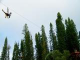 just live zipline treetop tour just live zipline treetop tour