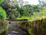 kohala zipline