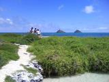 hawaii discount hawaii discount