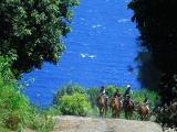 Maui Trail Rides 