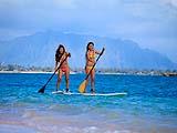  Stand Up Paddling in Oahu