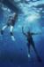  Maui Deep Sea Fishing