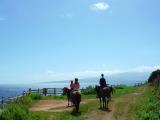 Mendes Ranch Aloha Horseback Ride
