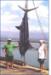  Maui Fishing Tours