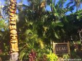  Maui Tours