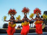 sea life park luau discount sea life park luau discount