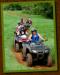  Kauai Tours