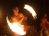 chief's luau chief