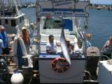 Maui Tours Maui Tours
