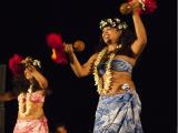 chief's luau chief