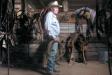 Gunstock Ranch Advanced Trail Rides