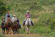  Oahu Horseback Rides Kualoa Ranch