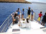  Maui Tours