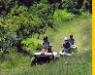Big Island ATV Tour 22 Mile Rainforest and Waterfall 