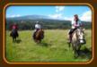 Piiholo Ranch Horseback Riding