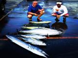 Hawaii Activities Discount Hawaii Activities Discount