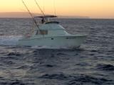 Ruckus Oahu Sportfishing