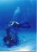 Scuba Diving in Kauai
