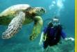  Scuba Dive Kauai