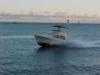 Sea Hawk Sportfishing - Deep Sea Fishing in Oahu
