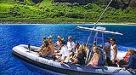  Capt Andys Snorkel Cruise