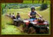 Four Hour Waterfall Picnic Tour