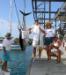  Big Island Tours