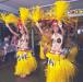  Oahu Tours