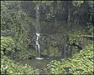  Hawaii Tours