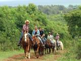 Gunstock Ranch Advanced Trail Rides