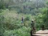 Big Island Eco Adventures Hawaii Zipline Tour
