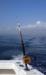  Big Island Deep Sea Fishing