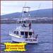  Kona Deep Sea Fishing