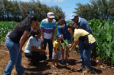  Oahu Land Tours