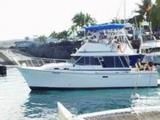 Big Island Tours Big Island Tours