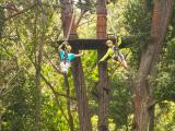 kohala zipline tour kohala zipline tour