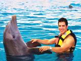 Sea Life Park Dolphin Encounter