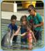  Hawaii Tours