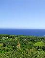 Polynesian Adventure Tours Hana Tour Polynesian Adventure Tours Hana Tour