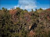 Hidden Craters Hike with Hawaii Forest and Trail