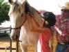 Hawaii Activities for Kids