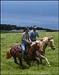 Big Island Hawaii Horseback Riding