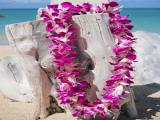 Hawaiian Flower Lei Greeting at Airport