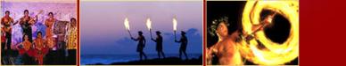  Oahu Tours