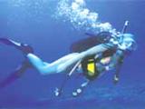 Sea Breeze Scuba Diving