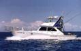  Oahu Tours