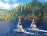  Na Pali Coast