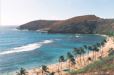  Maui Activities